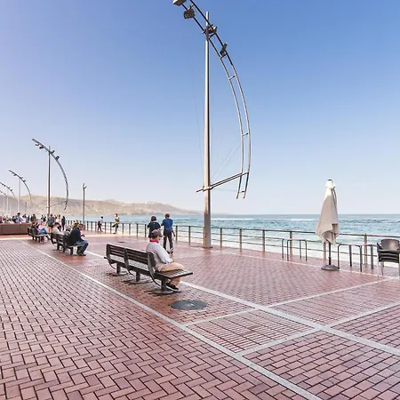 For The Digital Nomads Next To The Las Palmas / Gran Canaria